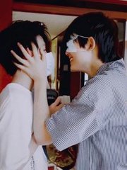 蘑菇tv网页版官方登录入口版
